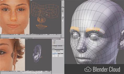 tutorial blender|Tutorials — blender.org.